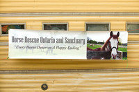 Horse Rescue Ontario & Sanctuary Fund Raiser 2018