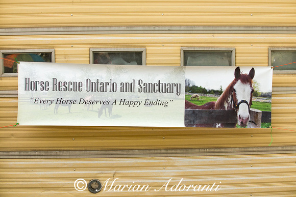 Horse Rescue Ontario Fund Raiser 2018-06-03-2911