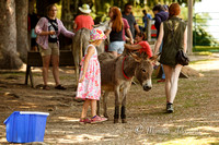 Donkey Sanctuary of Canada 2015-07-26-7470