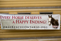 Horse Rescue Ontario & Sanctuary 2019-06-01