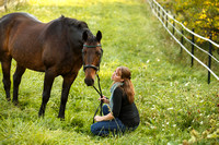 Horses & Humans